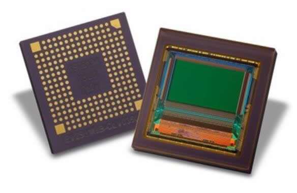 1582095131769028.jpg 1.jpg